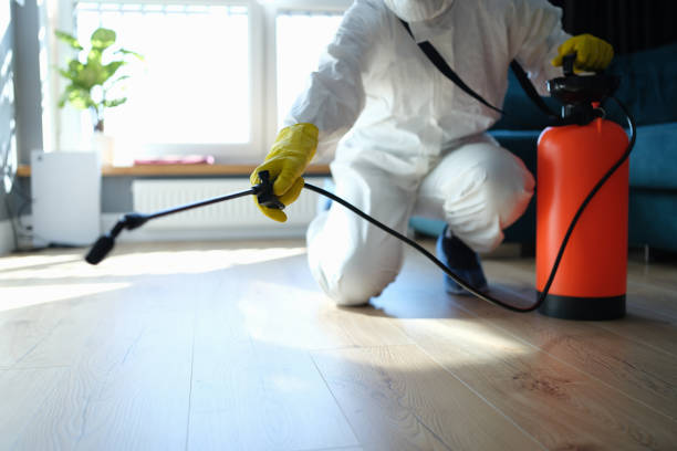 Reliable Blood Cleanup contractor in Pea Ridge, FL by Trauma Clean Pros